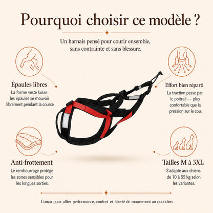 harnais canicross reflechissant rouge pourquoi choisir ce modele