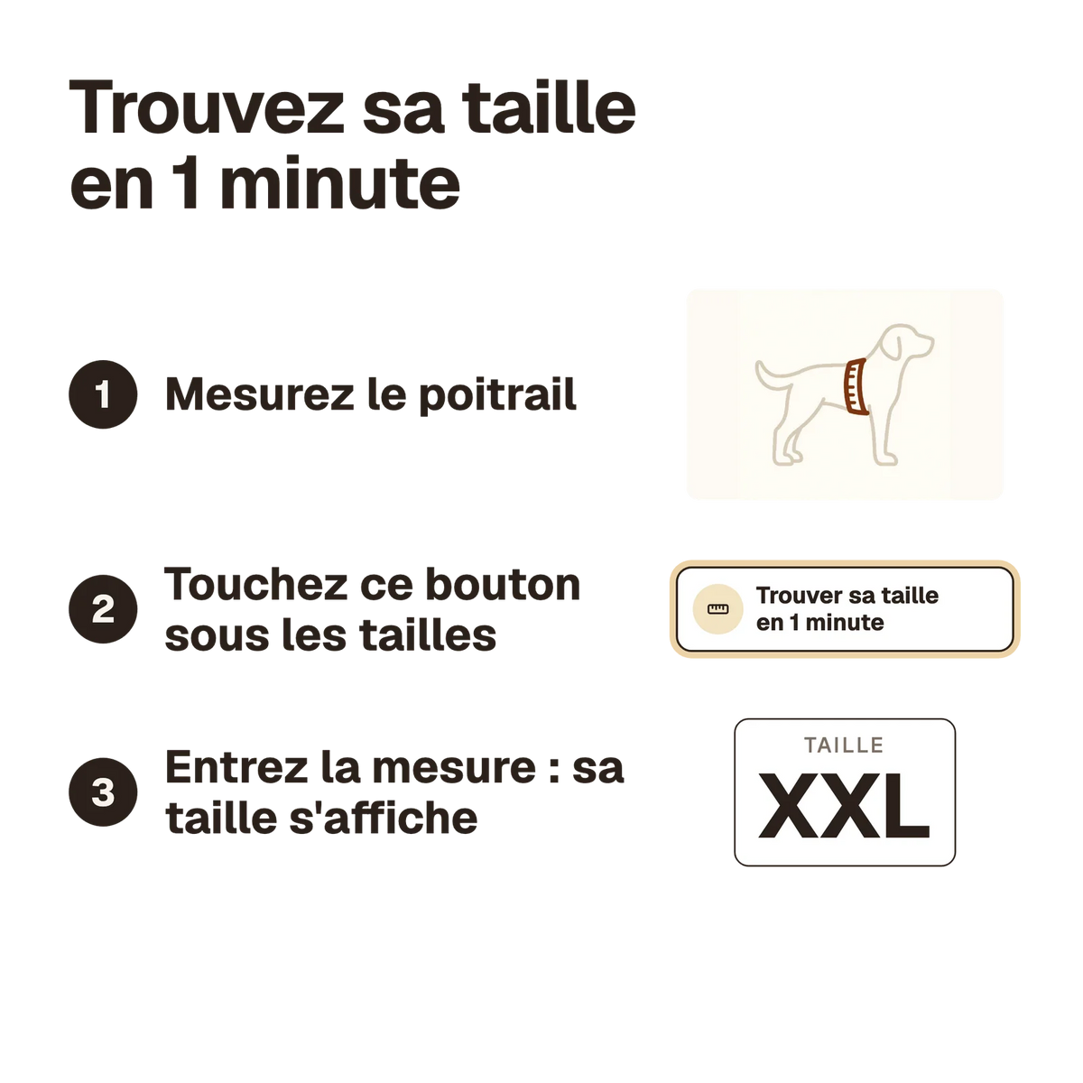 Trouver sa taille en 1 minute : mesurer le chien, ouvrir le calculateur sous les tailles, entrer les mesures, la taille s'affiche