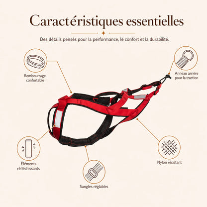 Harnais canicross rouge - caracteristiques essentielles