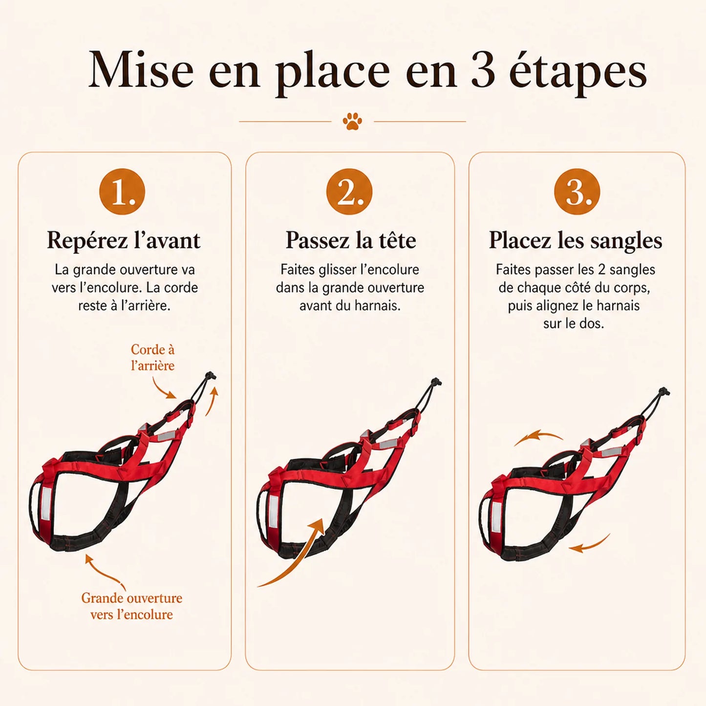 Harnais canicross rouge - mise en place en 3 etapes