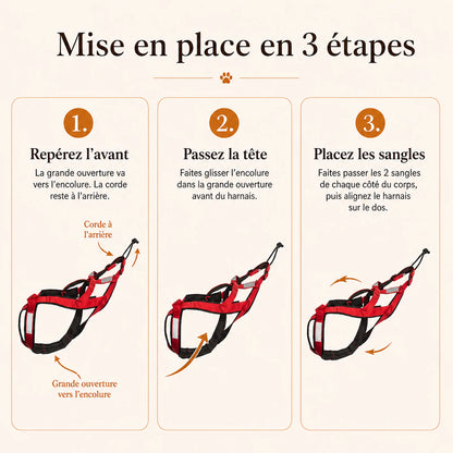Harnais canicross rouge - mise en place en 3 etapes