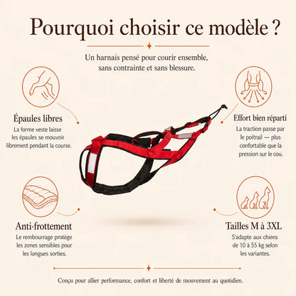 Harnais canicross rouge - pourquoi choisir ce modele
