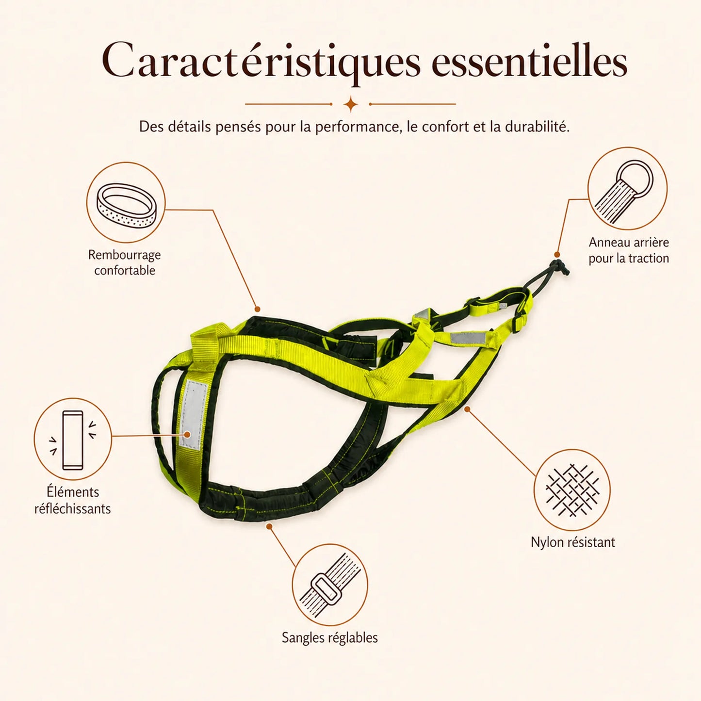 harnais canicross vert caracteristiques essentielles