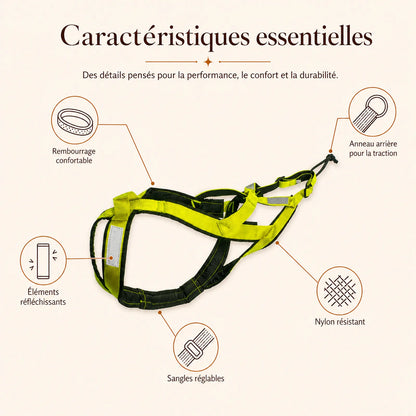 harnais canicross vert caracteristiques essentielles