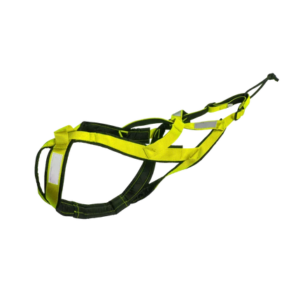 Harnais canicross vert citron, vue du harnais type croisé