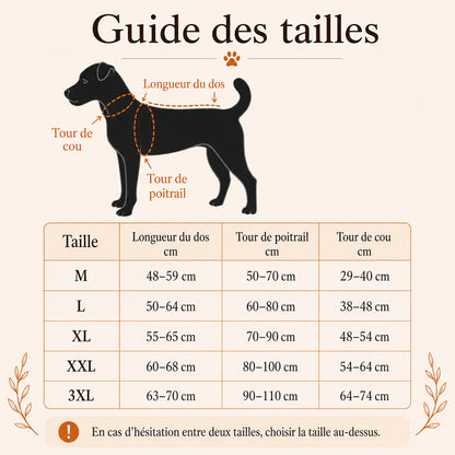 harnais canicross vert guide des tailles