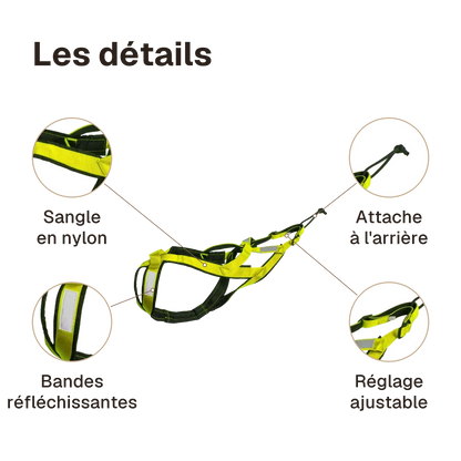 Les détails du harnais canicross vert : bandes réfléchissantes, attache à l'arrière, sangle en nylon, réglage ajustable