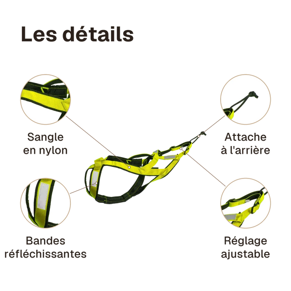 Les détails du harnais canicross vert : bandes réfléchissantes, attache à l'arrière, sangle en nylon, réglage ajustable
