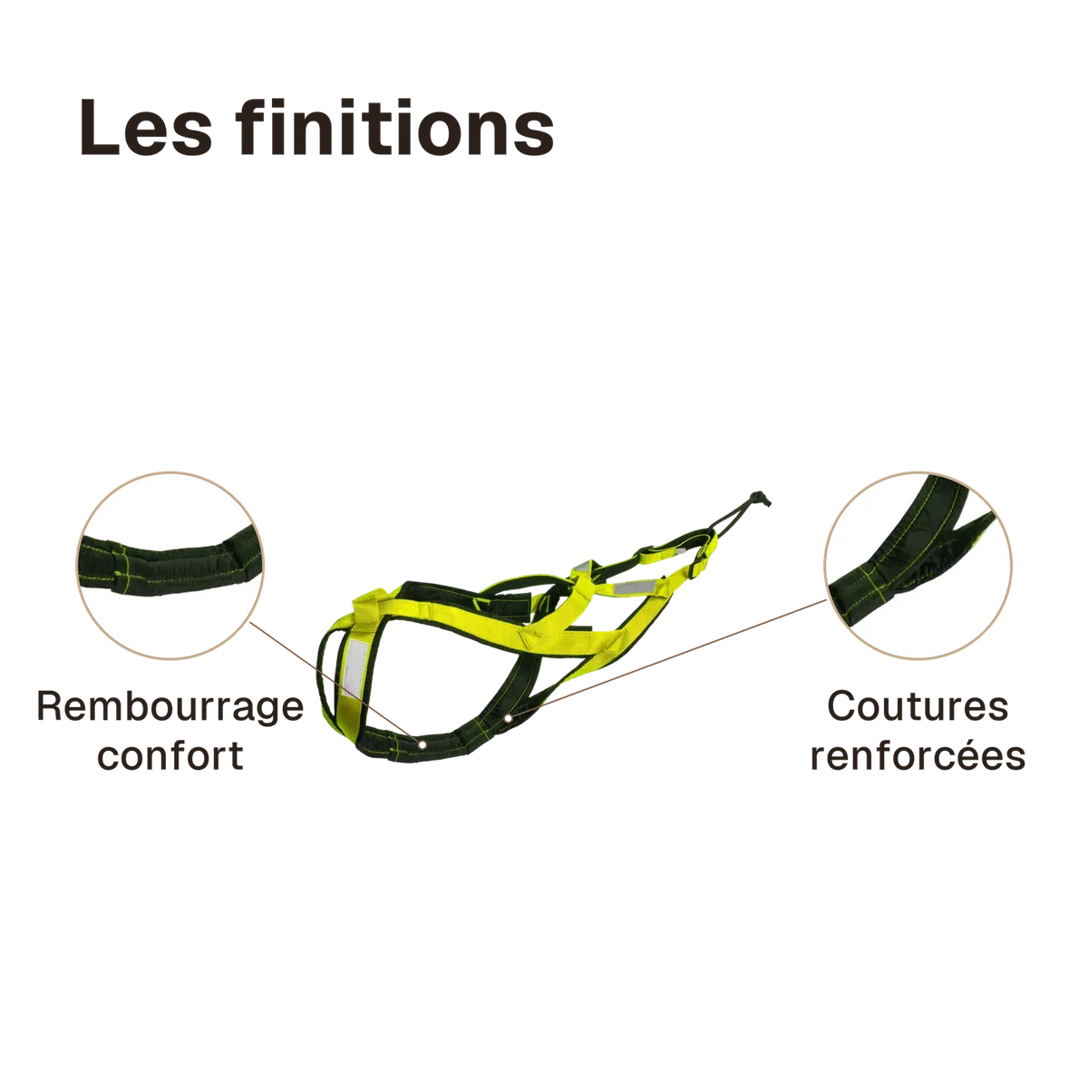 Les finitions du harnais canicross vert : rembourrage confort, coutures renforcées