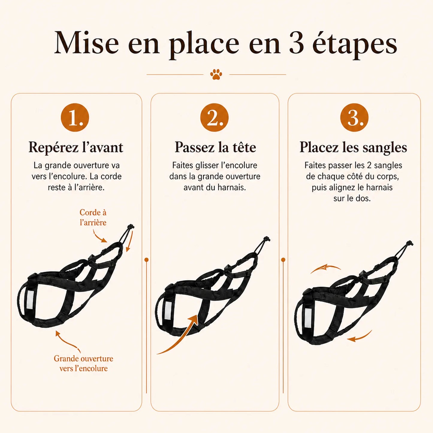 harnais canicross vert mise en place 3 etapes