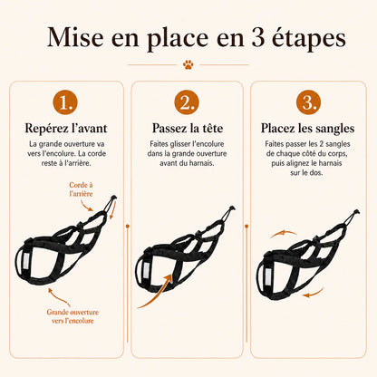 harnais canicross vert mise en place 3 etapes