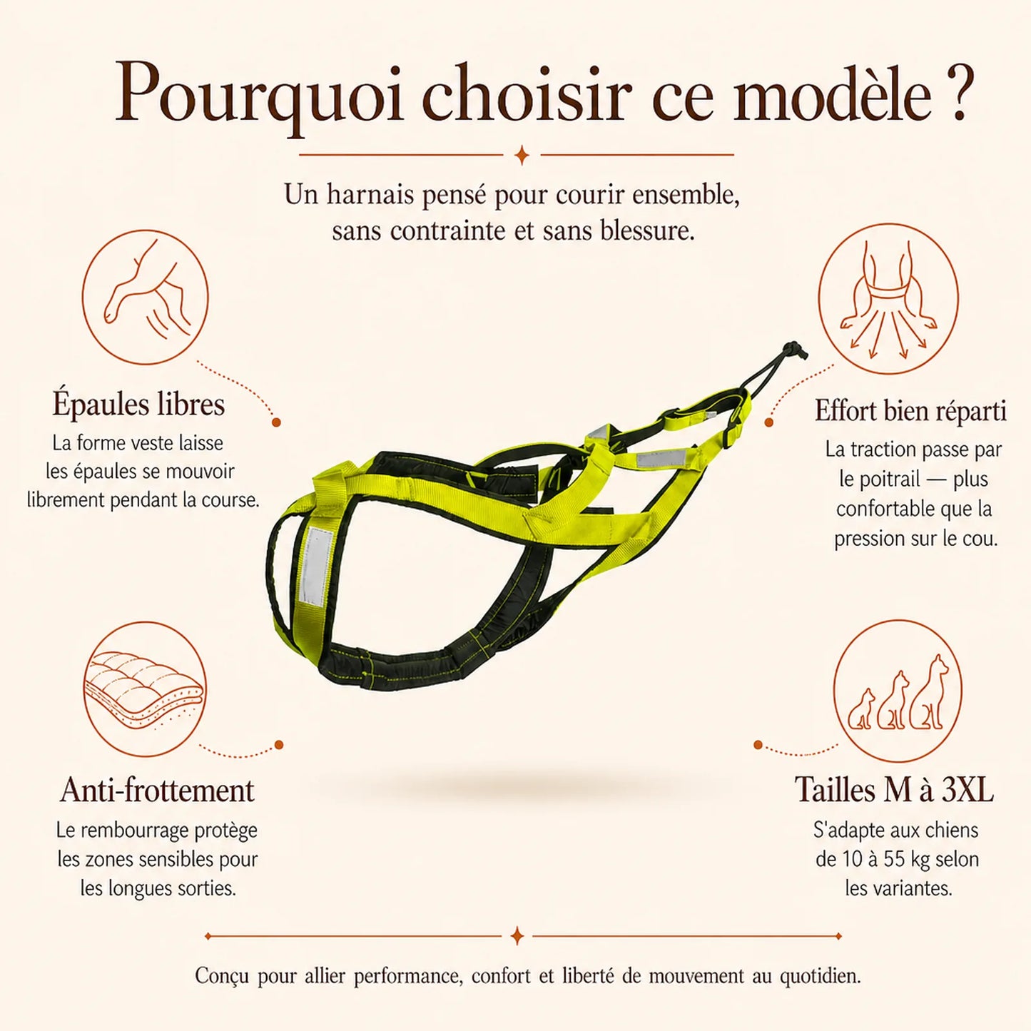 harnais canicross vert pourquoi choisir ce modele