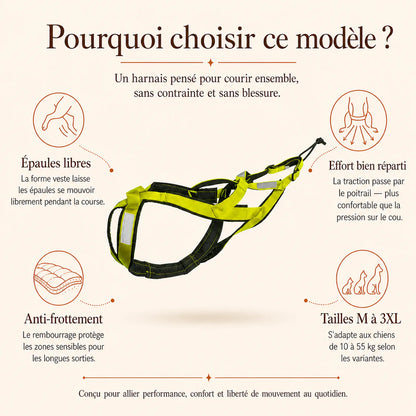 harnais canicross vert pourquoi choisir ce modele