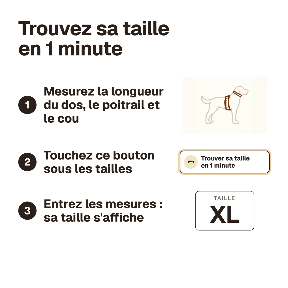 Trouver sa taille en 1 minute : mesurer le chien, ouvrir le calculateur sous les tailles, entrer les mesures, la taille s'affiche