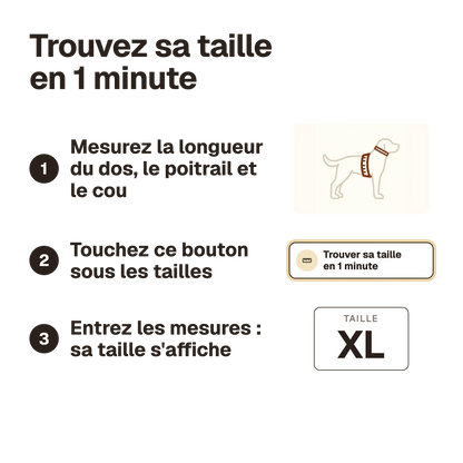 Trouver sa taille en 1 minute : mesurer le chien, ouvrir le calculateur sous les tailles, entrer les mesures, la taille s'affiche