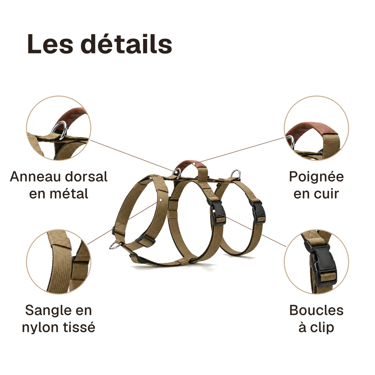Les détails du harnais 3 points classique : poignée en cuir, anneau dorsal en métal, boucles à clip, sangle en nylon tissé