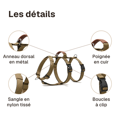 Les détails du harnais 3 points classique : poignée en cuir, anneau dorsal en métal, boucles à clip, sangle en nylon tissé