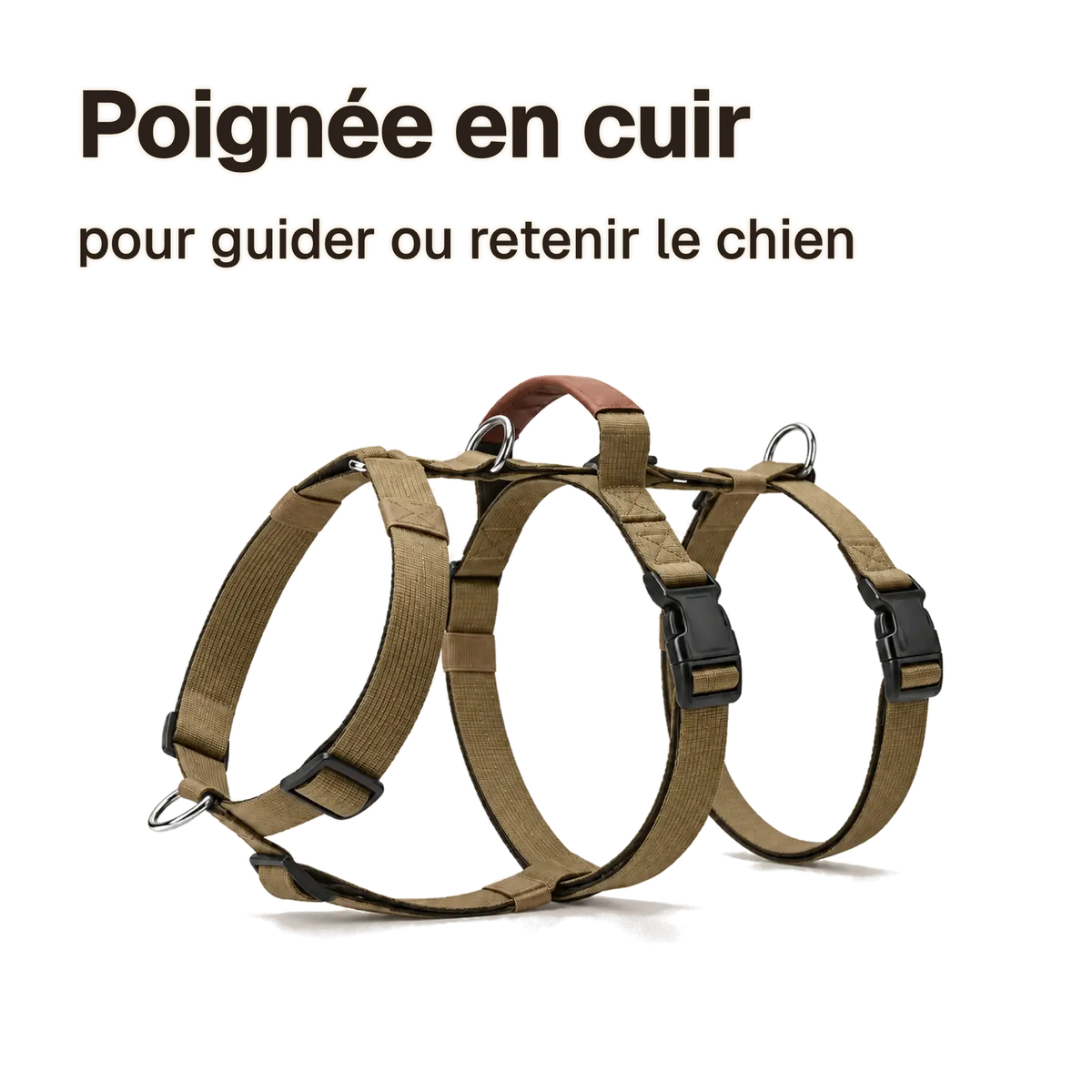 Harnais 3 points classique : poignée en cuir sur le dos, pour guider ou retenir le chien