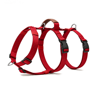 Harnais 3 points classique rouge pour chien, vue de profil