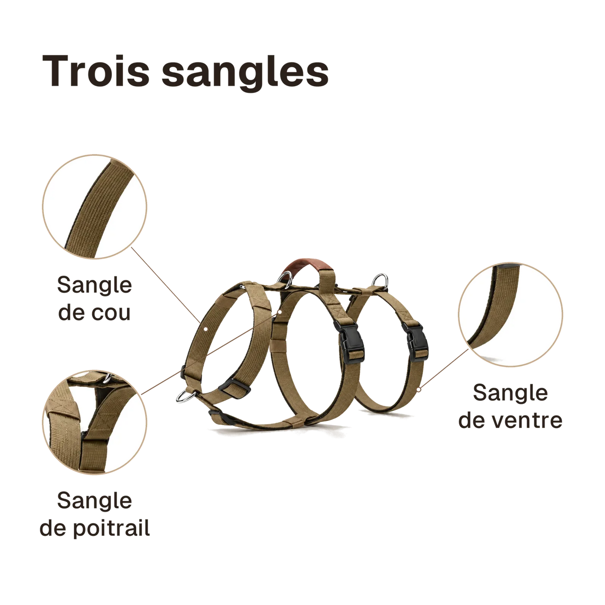 Harnais 3 points classique : sangles de cou, de poitrail et de ventre