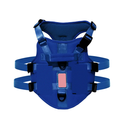 Harnais chien 3 points gilet, coloris bleu