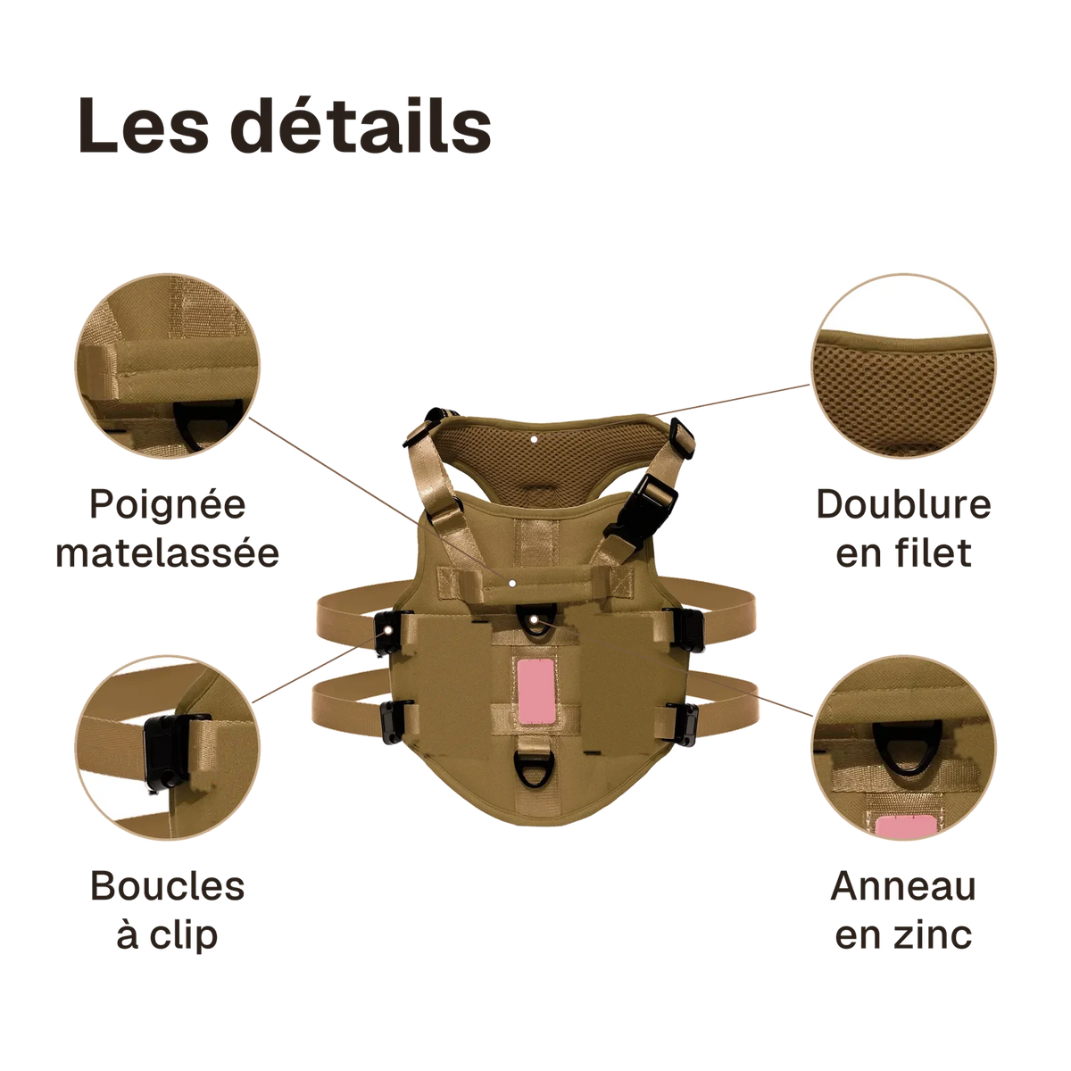 Les détails du harnais 3 points gilet : poignée matelassée, anneau en zinc, doublure en filet, boucles à clip
