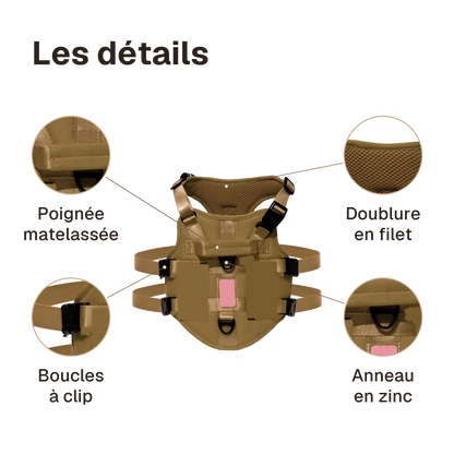 Les détails du harnais 3 points gilet : poignée matelassée, anneau en zinc, doublure en filet, boucles à clip