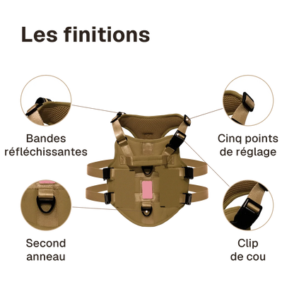 Les finitions du harnais 3 points gilet : second anneau, clip de cou, cinq points de réglage, bandes réfléchissantes