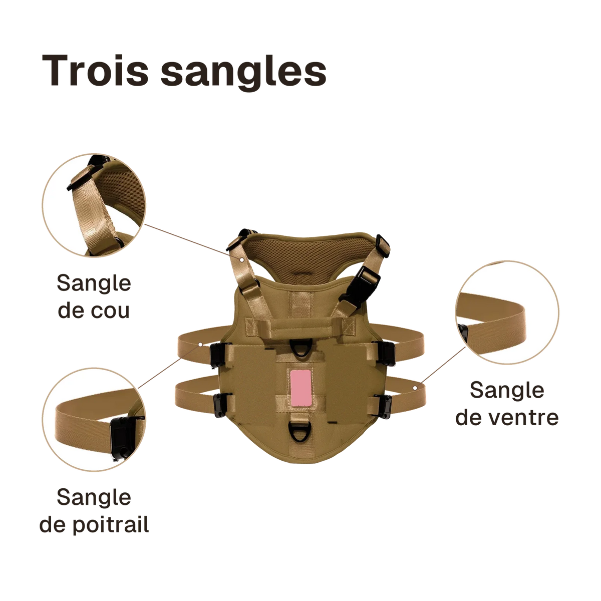 Harnais 3 points gilet : sangles de cou, de poitrail et de ventre