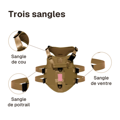 Harnais 3 points gilet : sangles de cou, de poitrail et de ventre