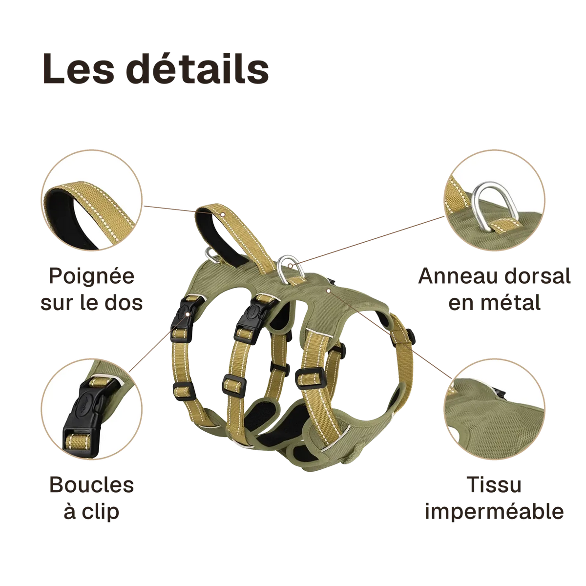 Les détails du harnais 3 points imperméable