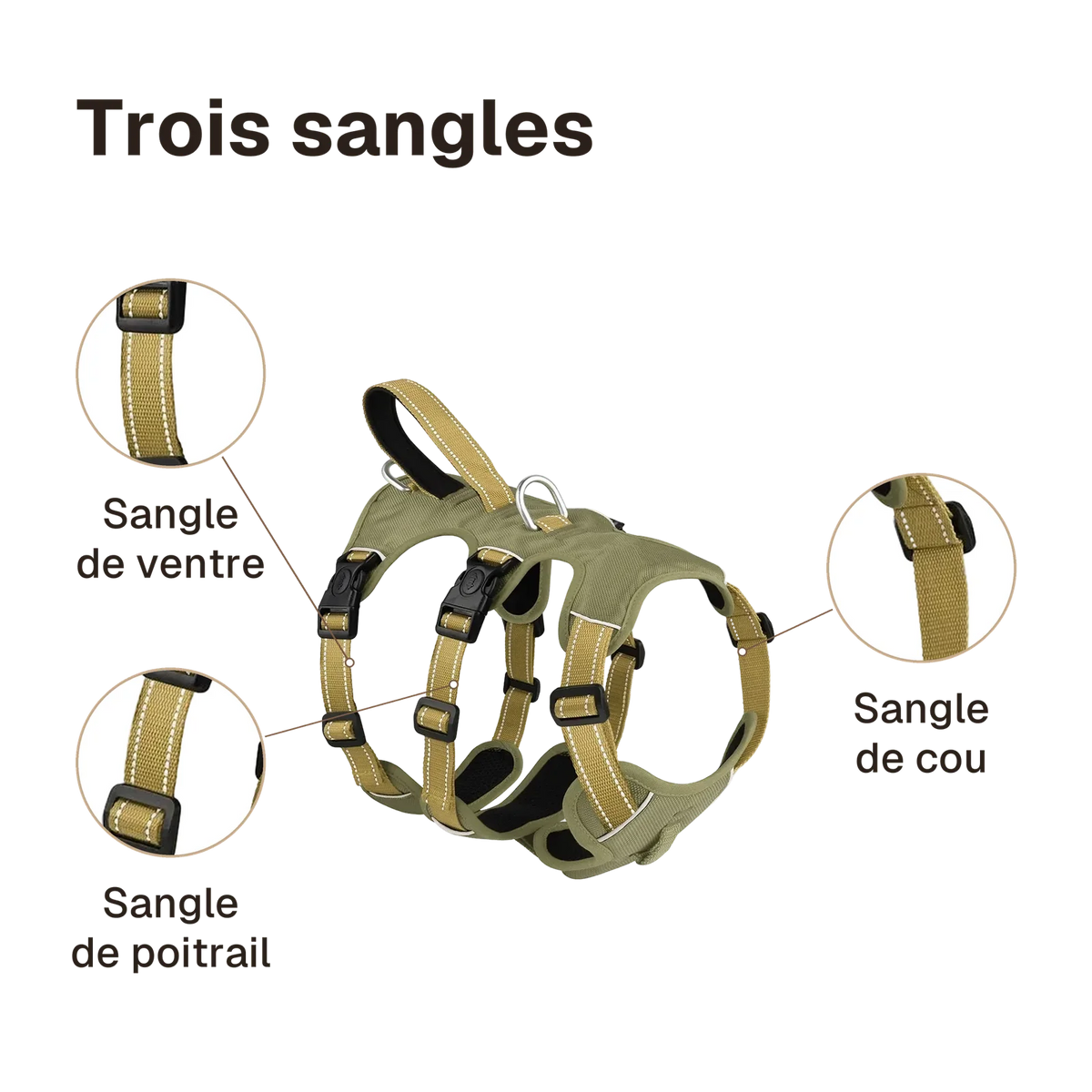 Harnais 3 points imperméable : sangles de cou, de poitrail et de ventre