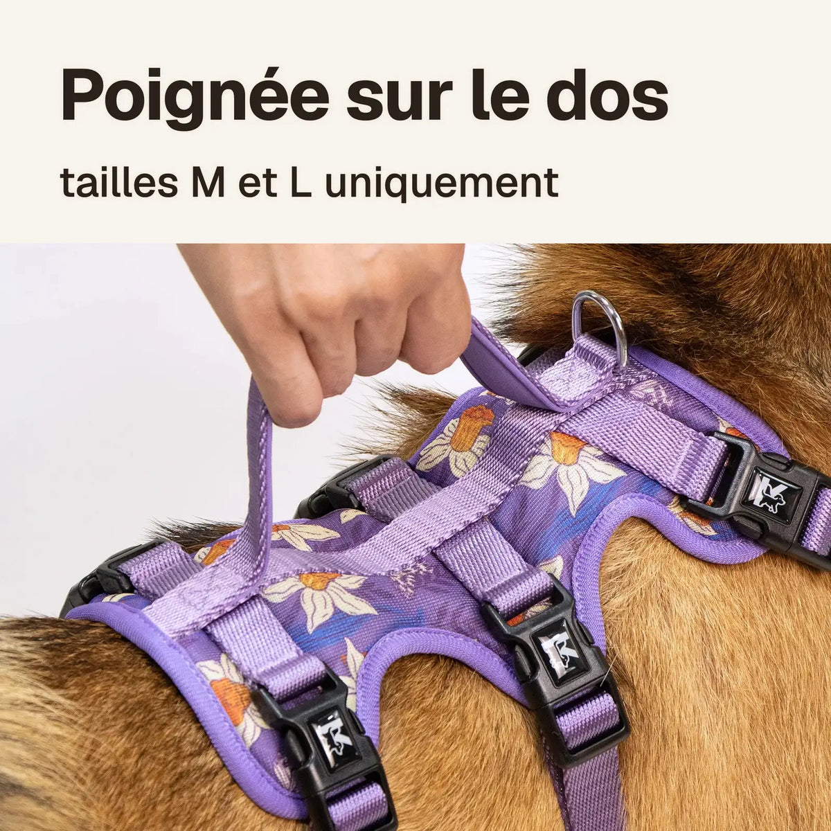 Harnais 3 points imprimé : poignée sur le dos en tailles M et L, pour guider ou retenir le chien