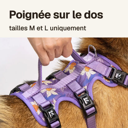 Harnais 3 points imprimé : poignée sur le dos en tailles M et L, pour guider ou retenir le chien