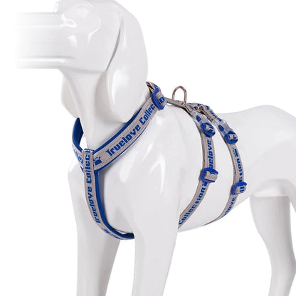 Harnais chien 3 points néoprène, coloris bleu roi
