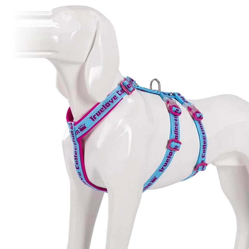 Harnais chien 3 points néoprène, coloris fuchsia