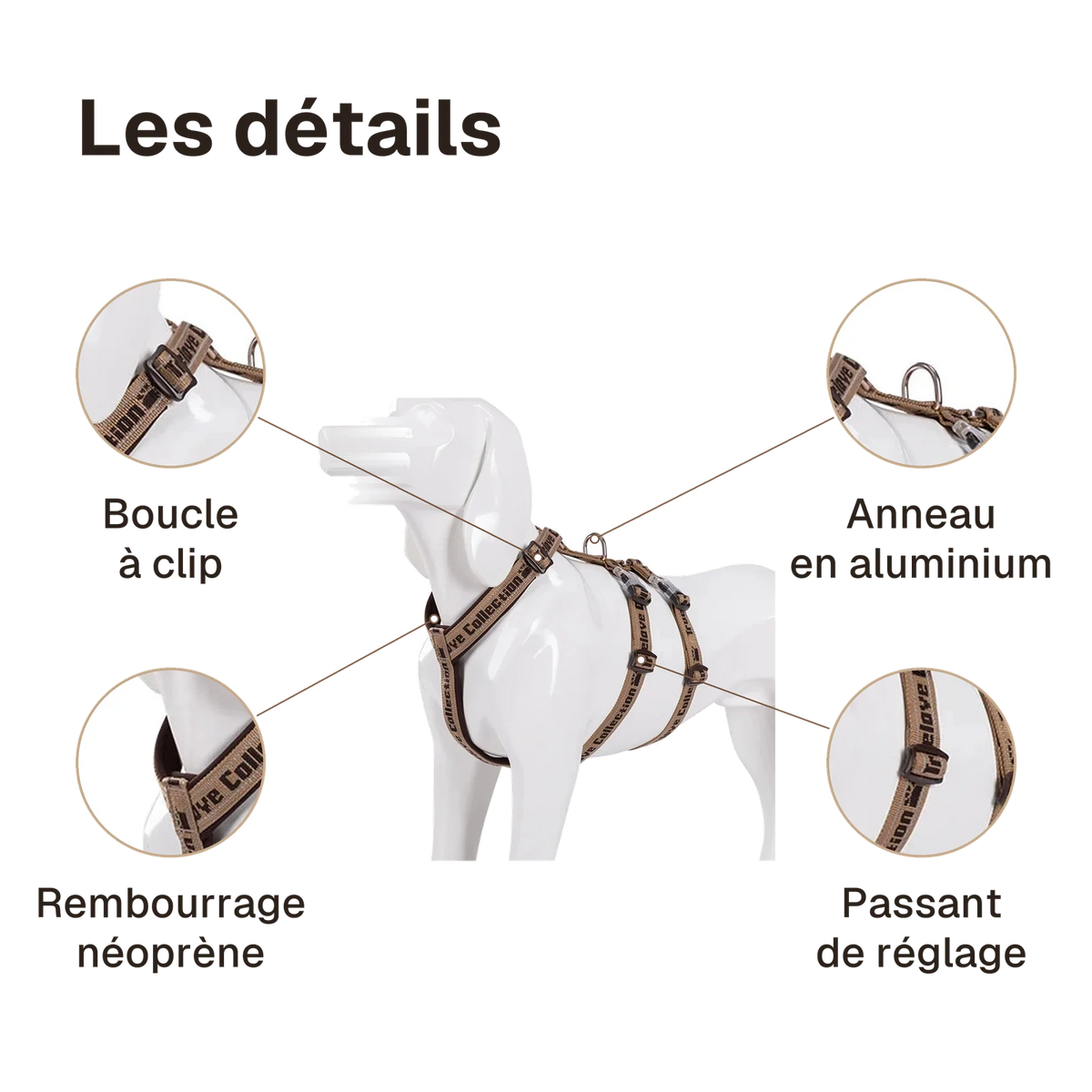 Les détails du harnais 3 points néoprène : anneau en aluminium, boucle à clip, rembourrage néoprène, passant de réglage