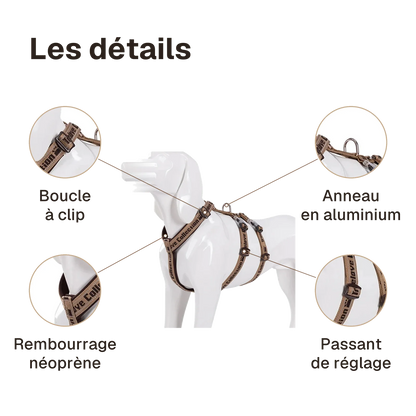 Les détails du harnais 3 points néoprène : anneau en aluminium, boucle à clip, rembourrage néoprène, passant de réglage