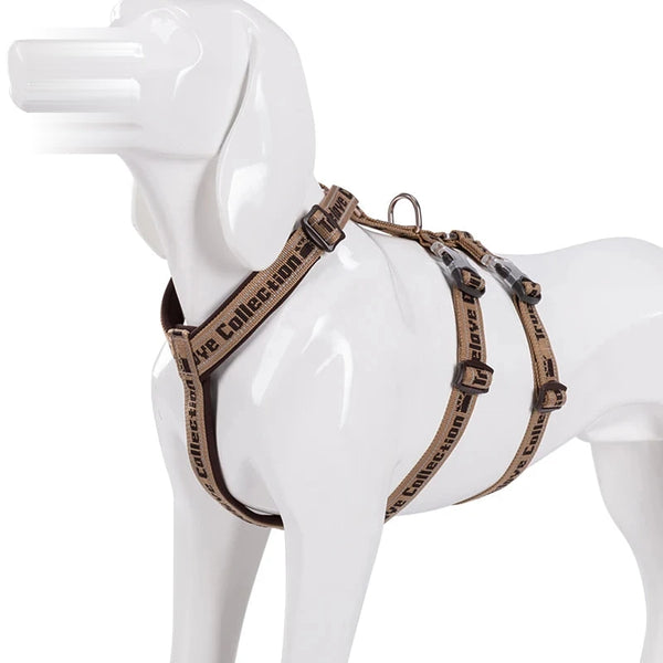 Harnais chien 3 points néoprène, coloris marron, sur mannequin
