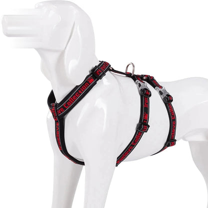 Harnais chien 3 points néoprène, coloris noir et rouge