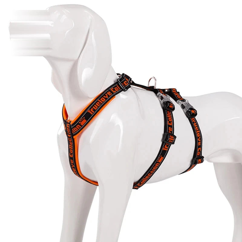 Harnais chien 3 points néoprène, coloris orange