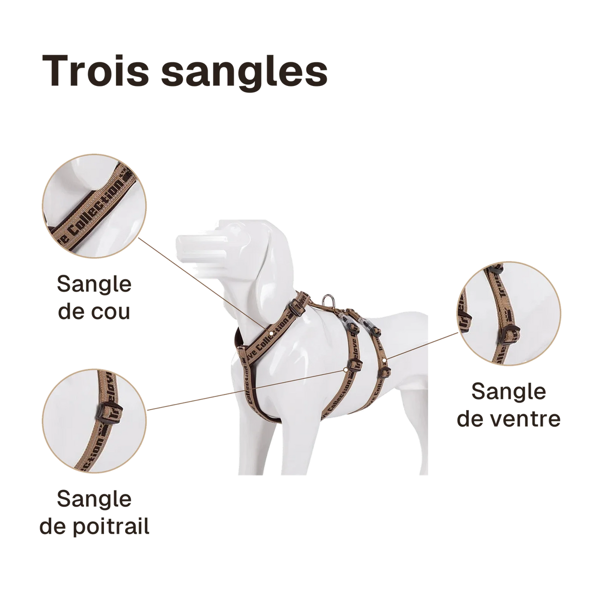 Harnais 3 points néoprène : sangles de cou, de poitrail et de ventre