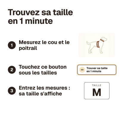 Trouvez sa taille en 1 minute : mesurez le chien, touchez le bouton sous les tailles, entrez les mesures et sa taille s'affiche