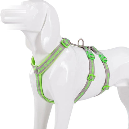 Harnais chien 3 points néoprène, coloris vert prairie
