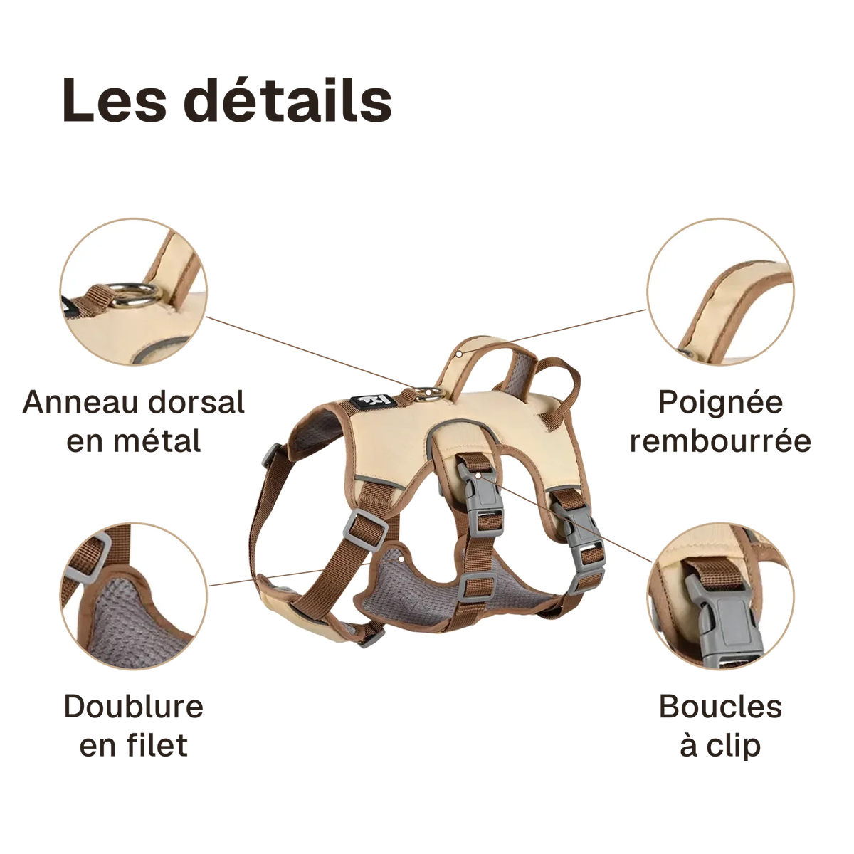 Les détails du harnais 3 points oxford : poignée rembourrée, anneau dorsal en métal, boucles à clip, doublure en filet