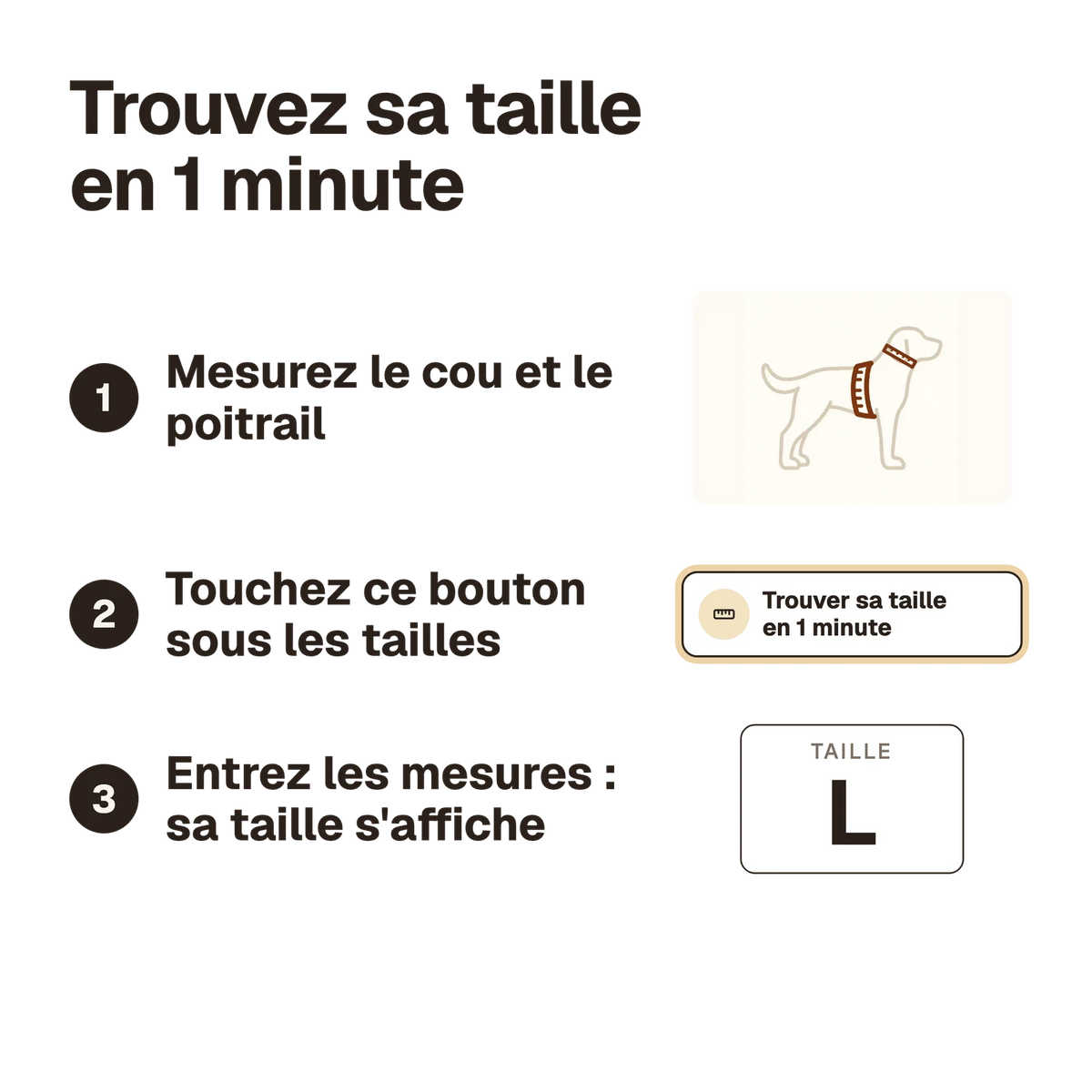 Trouvez sa taille en 1 minute : mesurez le chien, touchez le bouton sous les tailles, entrez les mesures et sa taille s'affiche