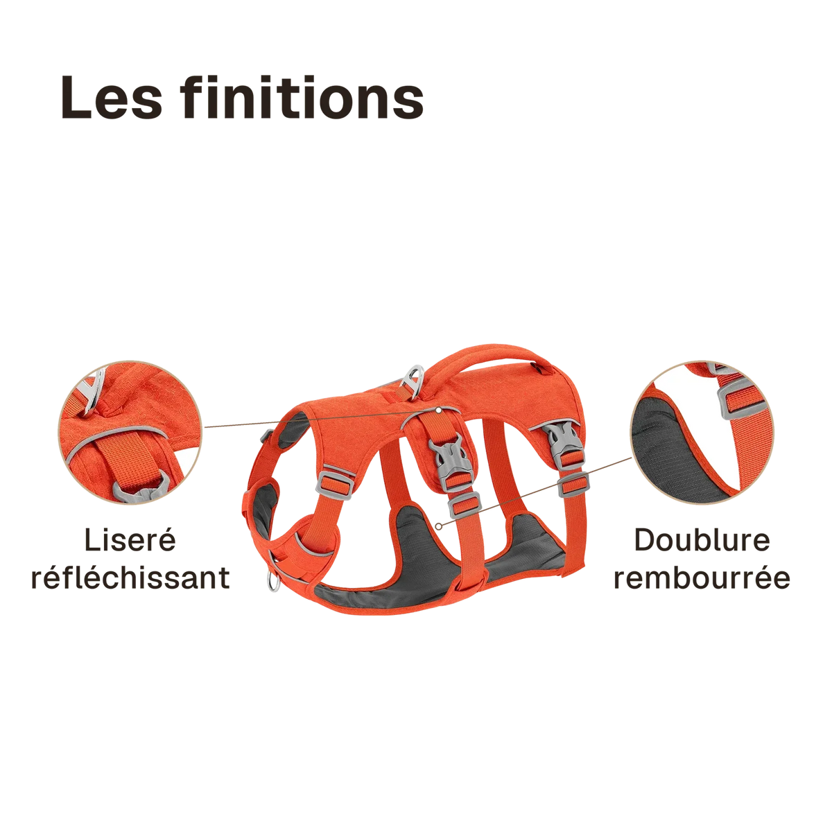 Les finitions du harnais 3 points promenade
