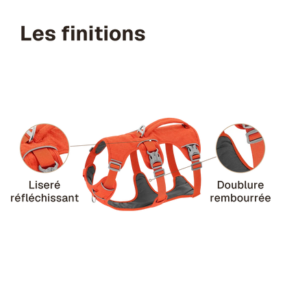 Les finitions du harnais 3 points promenade