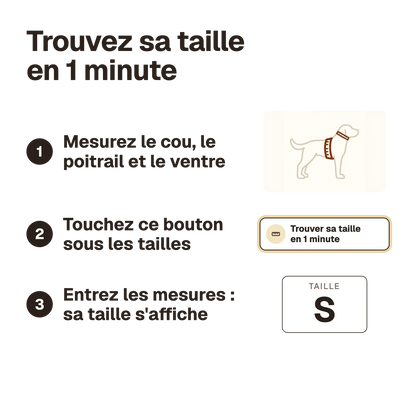 Trouvez sa taille en 1 minute : mesurez le chien, touchez le bouton sous les tailles, entrez les mesures et sa taille s'affiche