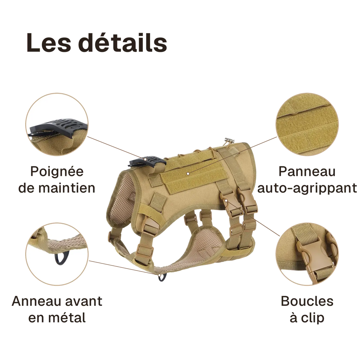 Les détails du harnais 3 points tactique : poignée de maintien, panneau auto-agrippant, boucles à clip, anneau avant en métal